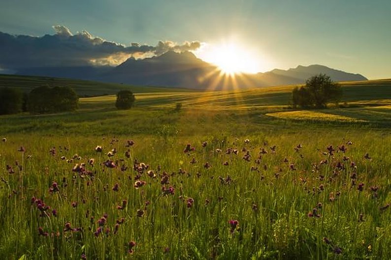 Vista dos Tatras a partir de Malý Slakov