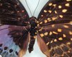 thumb-image-2024-02-29T13:59:02.669Z