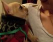 thumb-image-2024-02-29T13:59:02.852Z