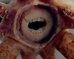 thumb-image-2024-02-29T13:59:02.971Z