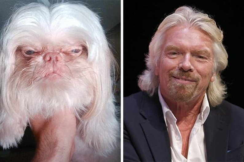 Cachorro e o empresário Richard Branson