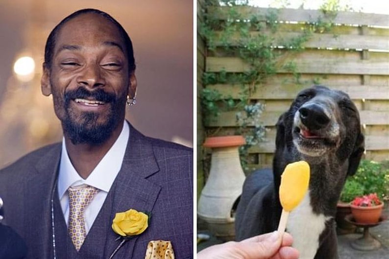 Snoop Dog e cachorro