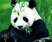 thumb-image-2024-02-29T13:59:03.883Z