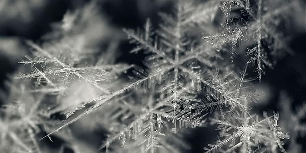 Imagem de Por que a neve é branca se os seus flocos são transparentes? no site Mega Curioso