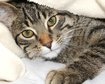 thumb-image-2024-02-29T13:59:04.425Z