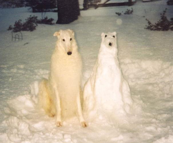 Arte gelada: confira essas 25 esculturas incríveis de neve