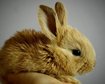thumb-image-2024-02-29T13:59:04.620Z