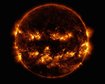 thumb-image-2024-02-29T13:59:05.518Z