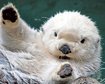 thumb-image-2024-02-29T13:59:05.959Z