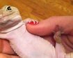 thumb-image-2024-02-29T13:59:06.174Z