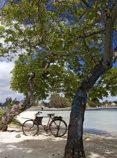 Próxima parada: Maurício — conheça este verdadeiro pedacinho do paraíso