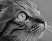 thumb-image-2024-02-29T13:59:06.693Z