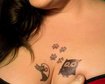 thumb-image-2024-02-29T13:59:07.268Z