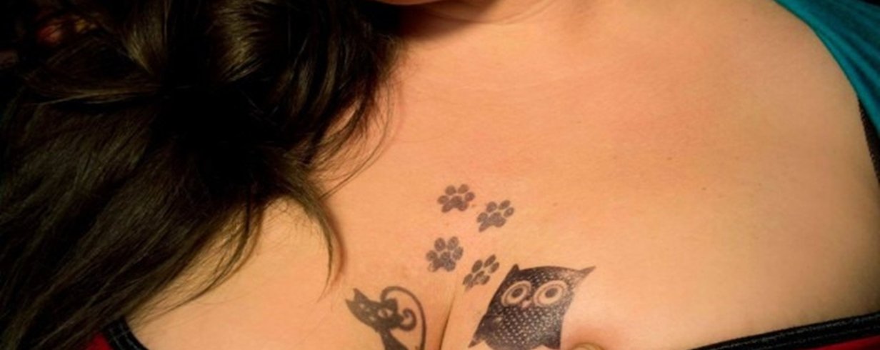 thumb-image-2024-02-29T13:59:07.268Z