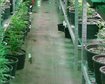 thumb-image-2024-02-29T13:59:07.279Z