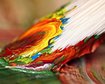 thumb-image-2024-02-29T13:59:07.659Z