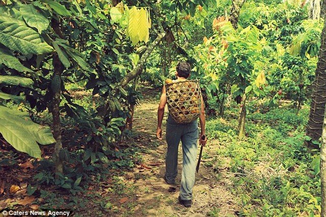Ostentação: saiba por que o chocolate mais caro do mundo custa tanto