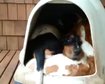thumb-image-2024-02-29T13:59:08.338Z