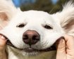 thumb-image-2024-02-29T13:59:08.367Z