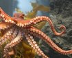 thumb-image-2024-02-29T13:59:08.453Z