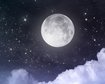 thumb-image-2024-02-29T13:59:08.462Z