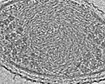 thumb-image-2024-02-29T13:59:08.815Z
