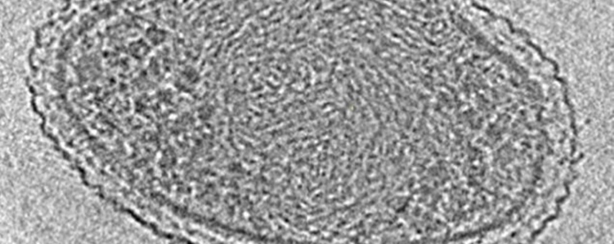 thumb-image-2024-02-29T13:59:08.815Z