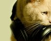 thumb-image-2024-02-29T13:59:08.828Z
