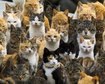thumb-image-2024-02-29T13:59:09.631Z