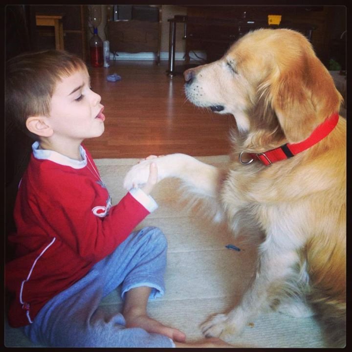 A incrível história do cachorro sem olhos que se tornou um cão terapeuta