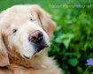 thumb-image-2024-02-29T13:59:10.580Z