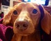 thumb-image-2024-02-29T13:59:10.823Z