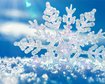 thumb-image-2024-02-29T13:59:10.857Z