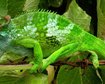 thumb-image-2024-02-29T13:59:10.878Z