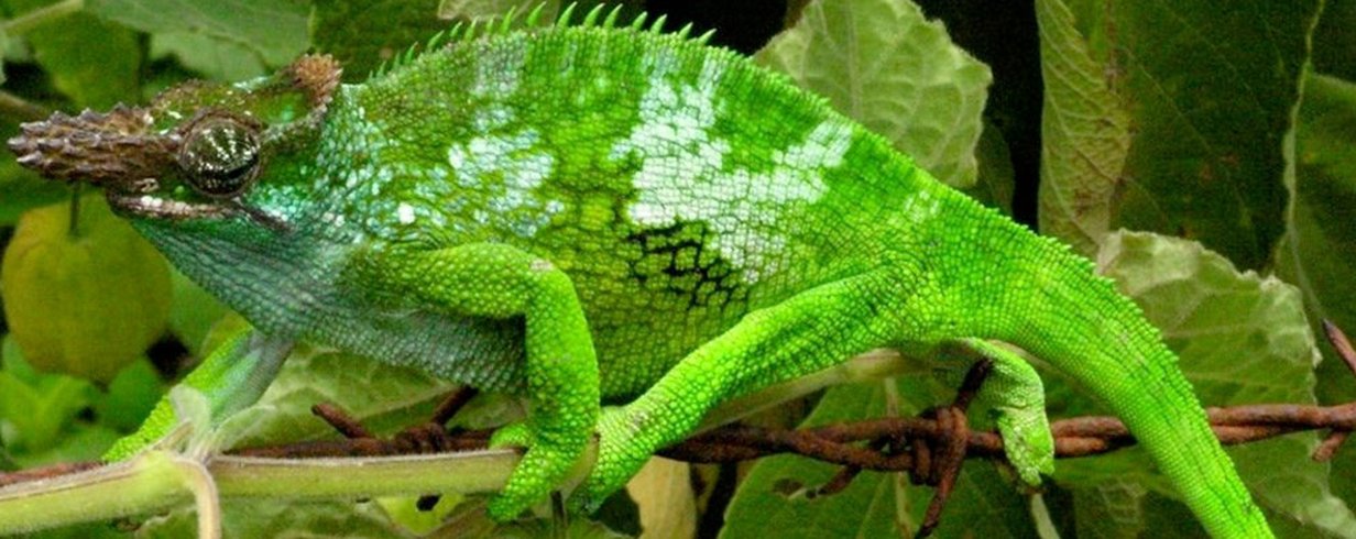 thumb-image-2024-02-29T13:59:10.878Z