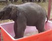 thumb-image-2024-02-29T13:59:11.030Z