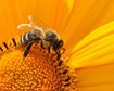 thumb-image-2024-02-29T13:59:11.322Z