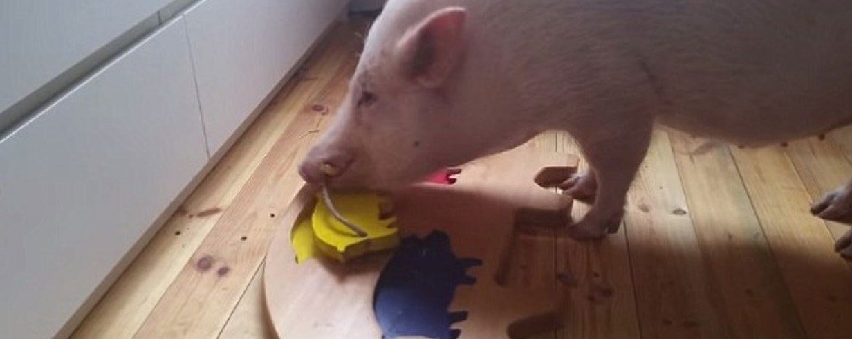 thumb-image-2024-02-29T13:59:11.754Z
