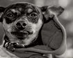 thumb-image-2024-02-29T13:59:11.920Z