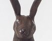 thumb-image-2024-02-29T13:59:12.300Z