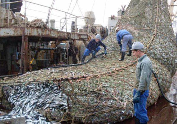 Esse pescador pegou algo inesperado — infelizmente