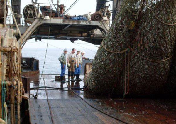 Esse pescador pegou algo inesperado — infelizmente