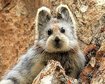 thumb-image-2024-02-29T13:59:12.482Z