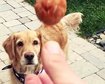 thumb-image-2024-02-29T13:59:12.912Z