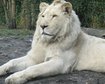 thumb-image-2024-02-29T13:59:12.990Z