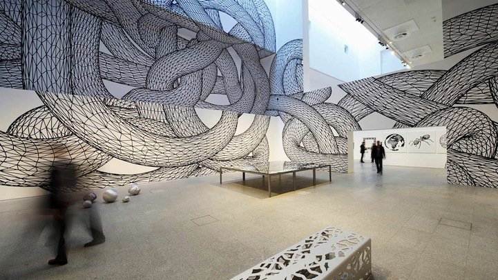 Parece mágica: Artista cria galerias inteiras com ilusão de óptica