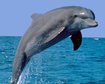 thumb-image-2024-02-29T13:59:13.821Z