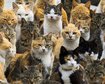 thumb-image-2024-02-29T13:59:13.909Z