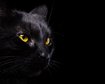 thumb-image-2024-02-29T13:59:14.165Z