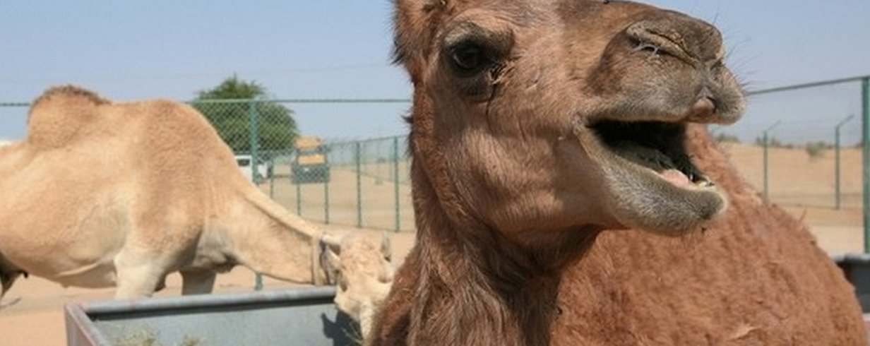 thumb-image-2024-02-29T13:59:14.908Z